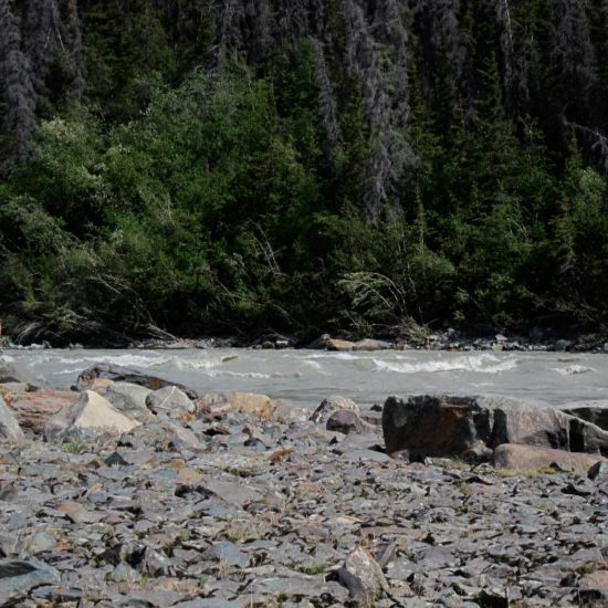 The Tana River - McCarthy River Tours